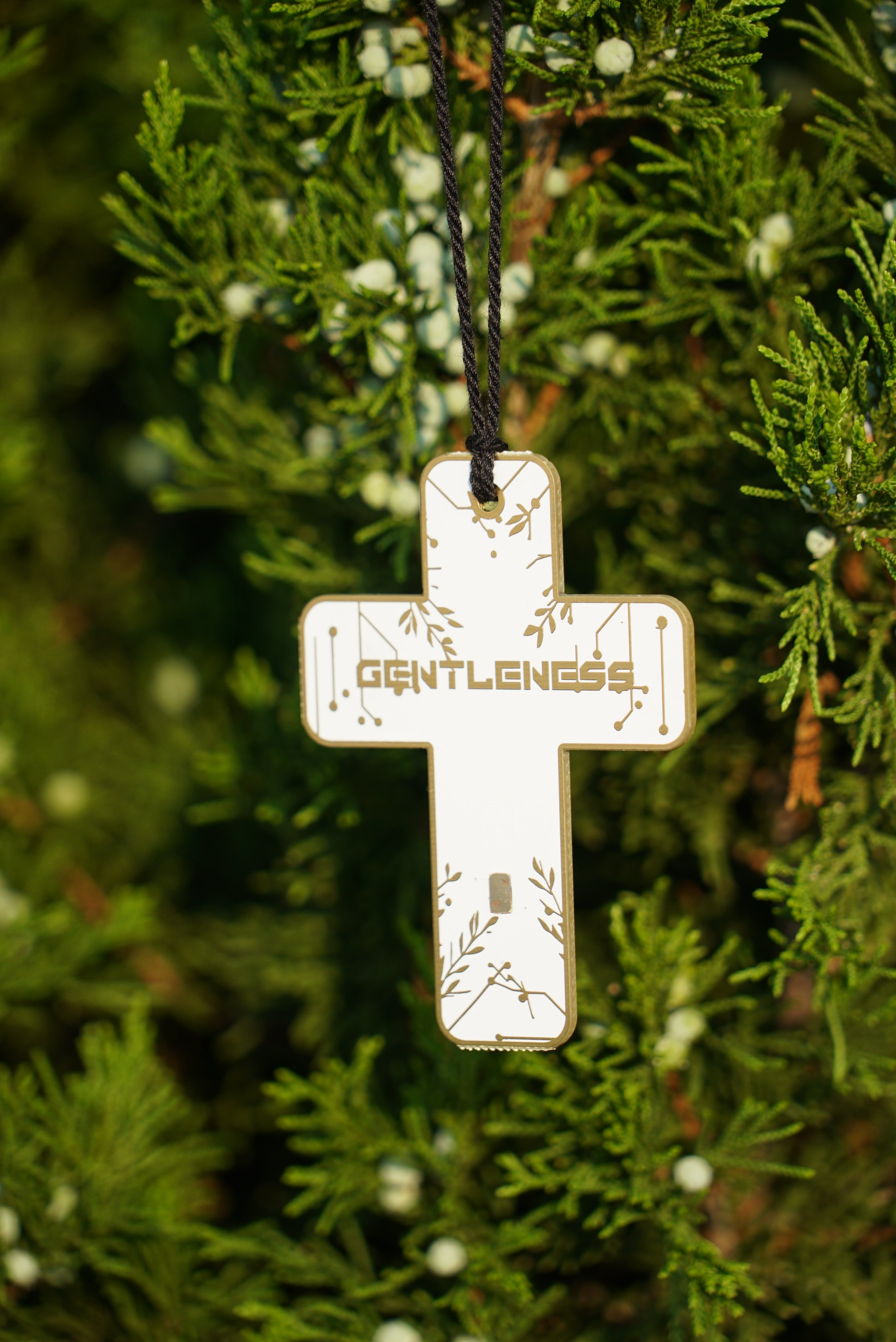 Gentleness